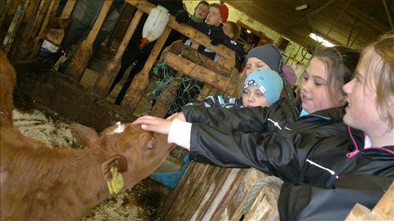Lærerikt og morosamt gardsbesøk hos Britt og Gudmund på Voksa